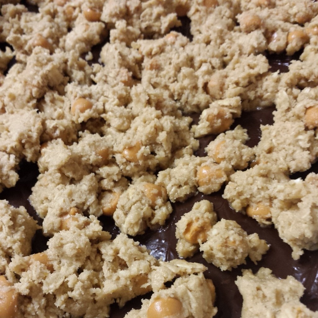 IMG_20130809_103836-1024×1024 oatmeal fudgebars