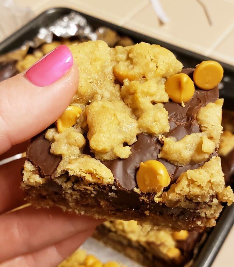 oatmeal fudge bars